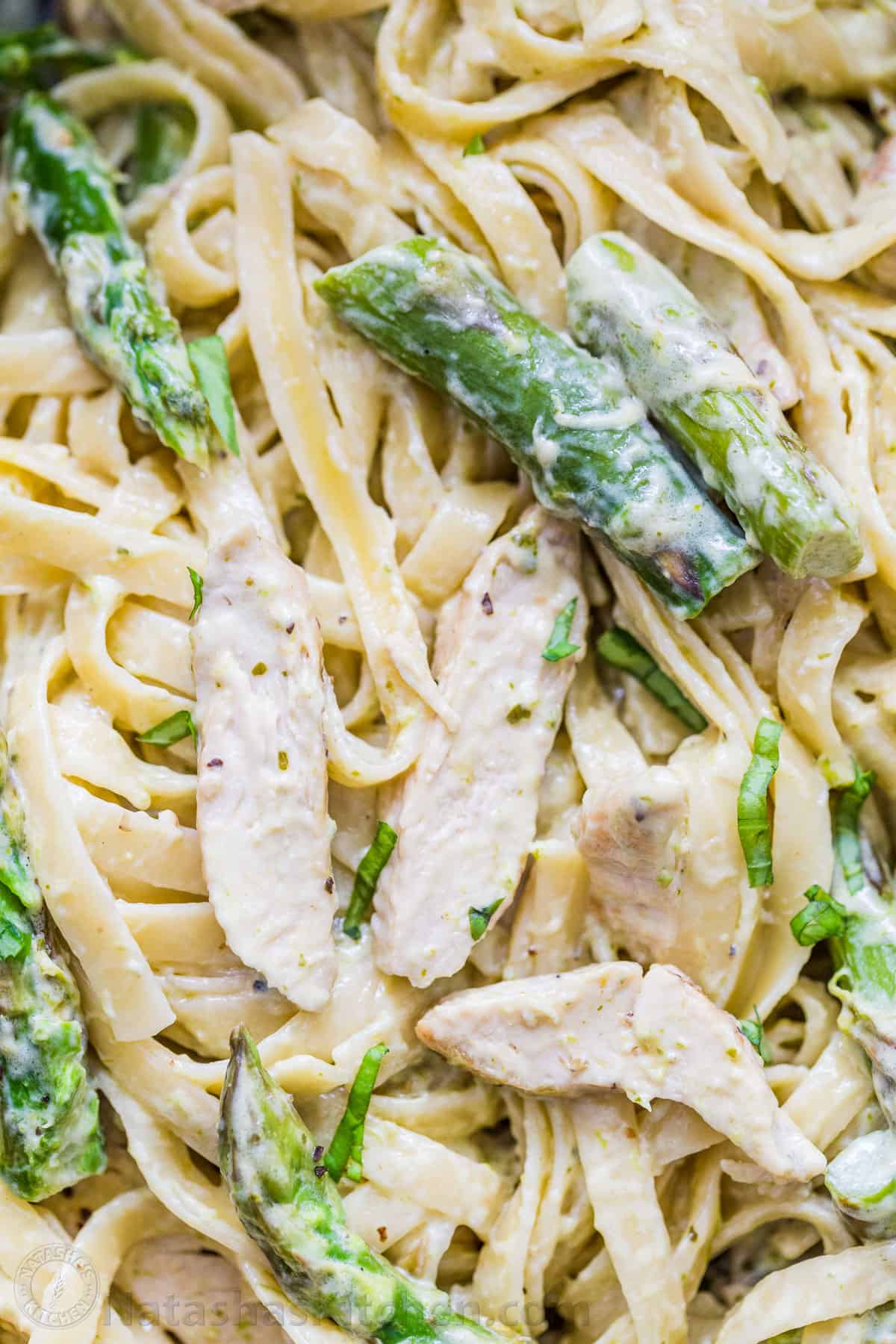 Fettuccini noodles tossed with asparagus in a creamy white sauce