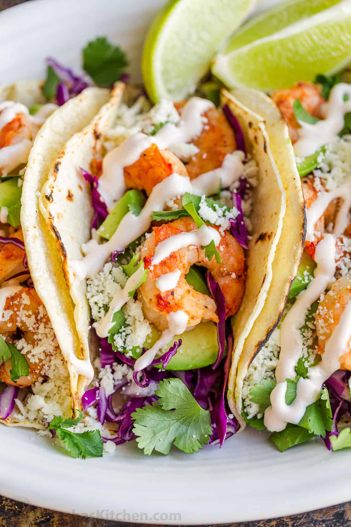 Shrimp Taco up close with shrimp, avocado, cabbage, cilantro and red onion drizzled with garlic-lime crema shrimp taco sauce 